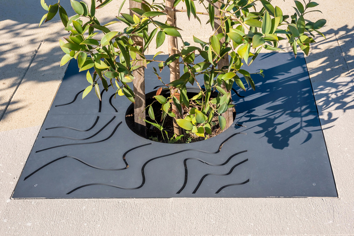 Custom tree grate with waterways perforation, powdercoated in Textura Monument.
