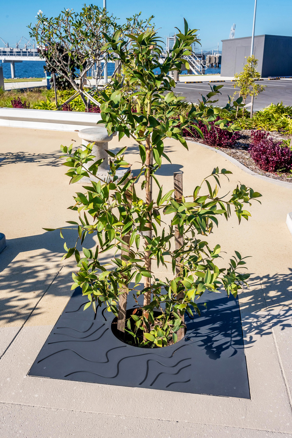 Custom tree grate with waterways perforation, powdercoated in Textura Monument.