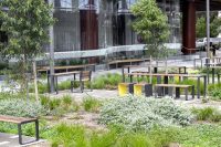 Linea Lookout Table (LIT6), Linea Seat (LIS10), Linea Bench (LIB6), Linea Cube (LIC6 customised colour) with Eco-certified Spotted Gum hardwood battens, Textura Monument frame.