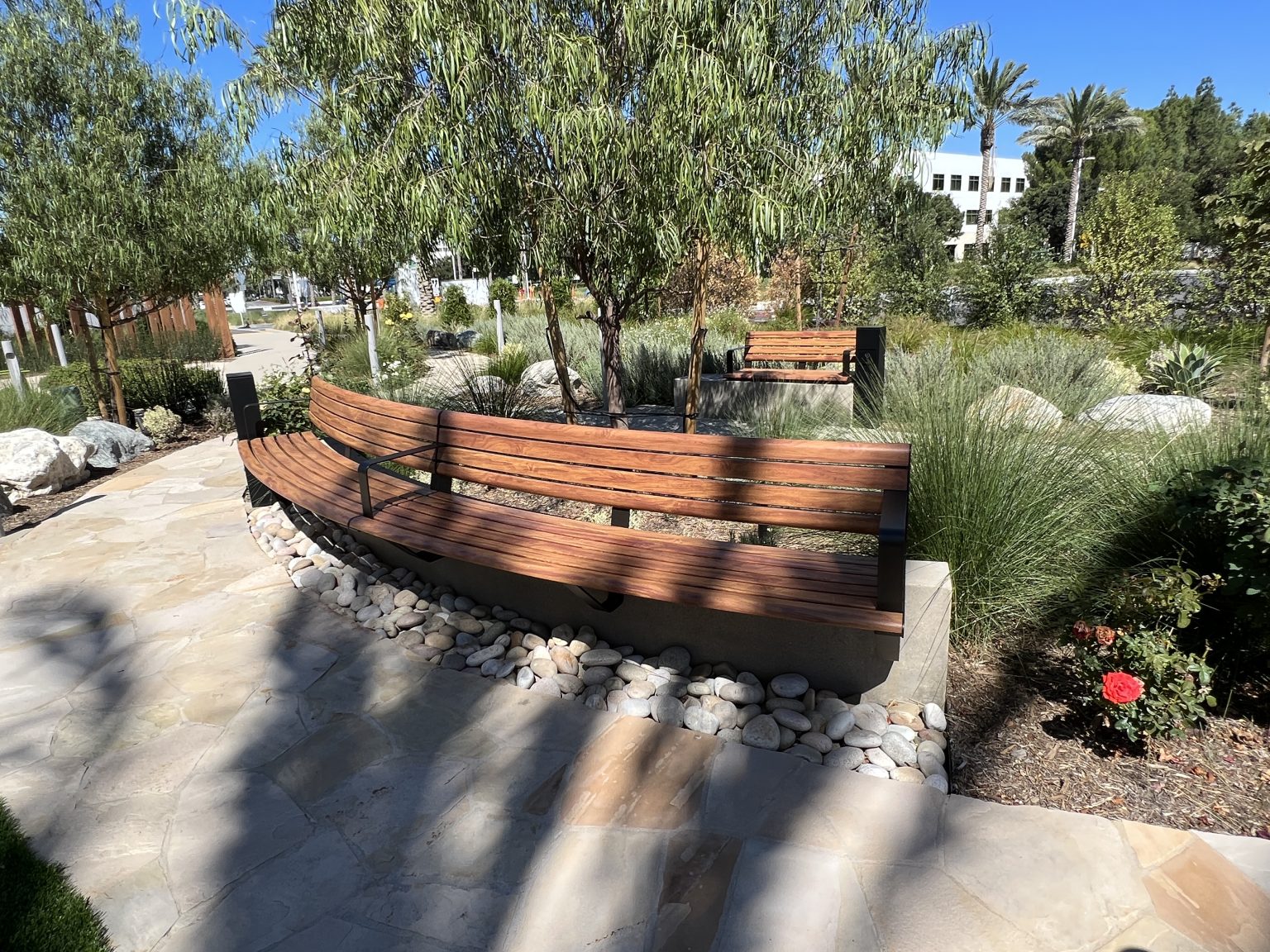 Linea Curved Seat (LIS10-C), tailored curve with alum Spotted Gum battens and Textura Dark Bronze frame.