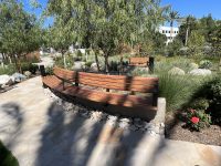 Linea Curved Seat (LIS10-C), tailored curve with alum Spotted Gum battens and Textura Dark Bronze frame.