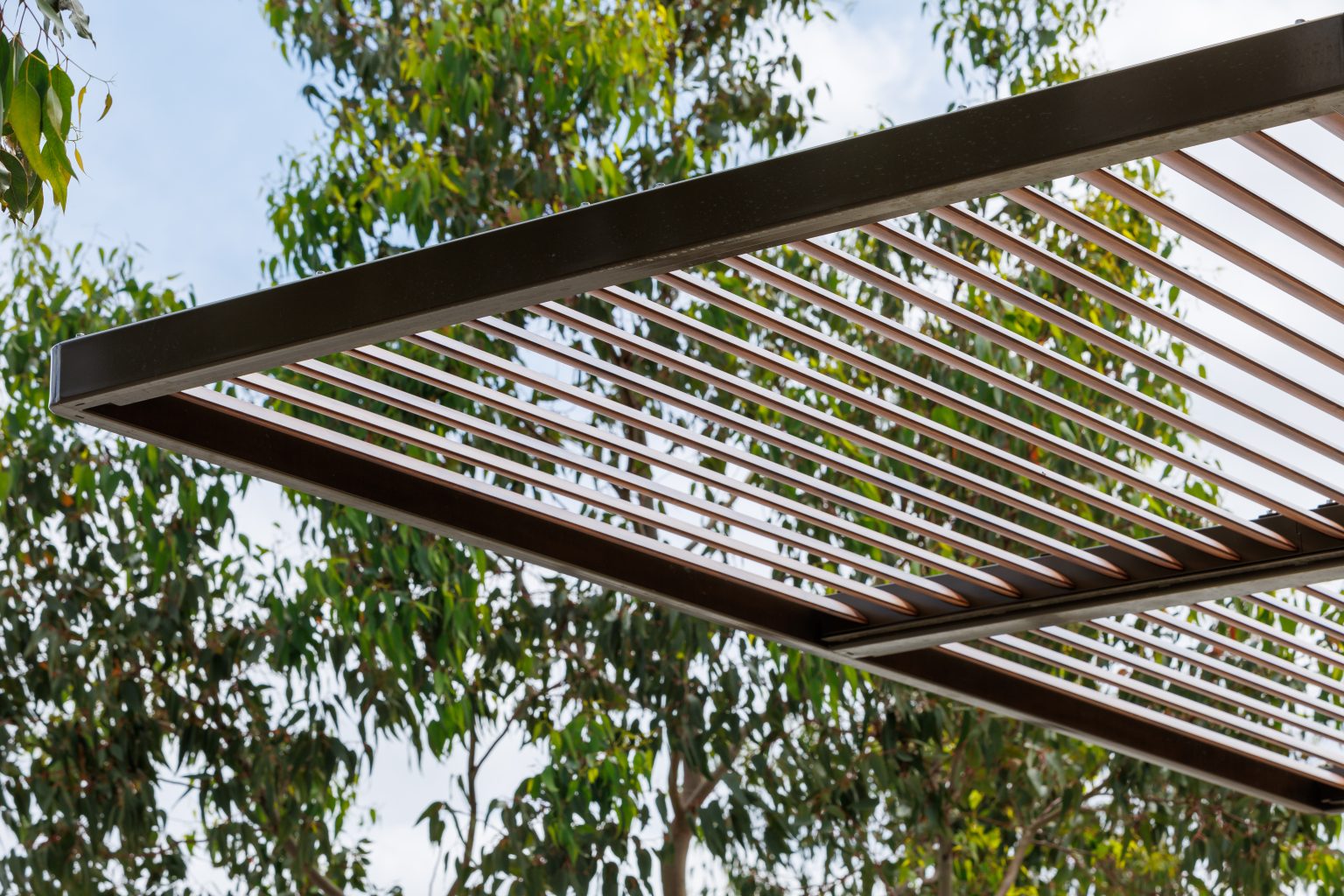 ChillOUT Tree with aluminium spotted gum louvres and duratec eternity bronze trunk