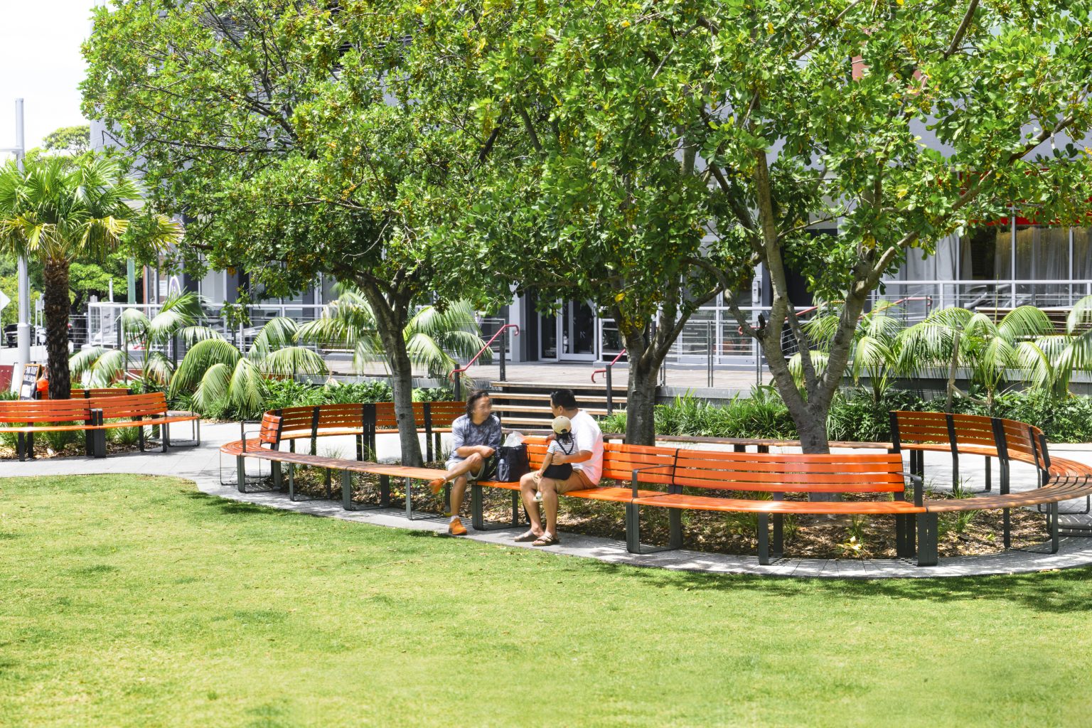 Curved and straight Linea Seats and Benches with frames in Textura Monument, battens in Bistro Orange and aluminium woodgrain Spotted Gum.
