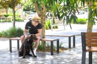 Linea Benches with frames in Textura Monument, battens in aluminium woodgrain Spotted Gum.