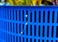 Frame Planter, tailored round 1000x800mm, in Bondi Blue with Slot perforation and adjustable feet.