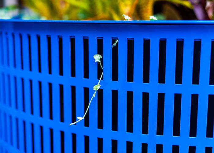 Frame Planter, tailored round 1000x800mm, in Bondi Blue with Slot perforation and adjustable feet.