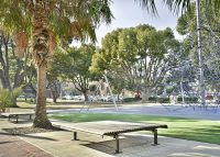 Classic Plaza Platforms in Anzac Park, Campsie. Photo: Artur Ferrao