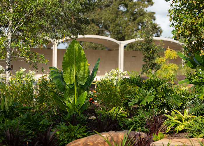 Alcoves behind the Tropical Heart in the Global Collection Garden. Photo: Michael Tims.