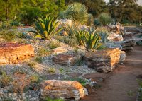 Arid Valley in the Global Collection Garden. Photo: Michael Tims.