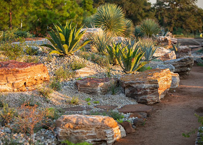 Arid Valley in the Global Collection Garden. Photo: Michael Tims.