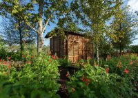 Curiosity Cabinet in Upland Forest in Global Collection Garden. Photo: Michael Tims.