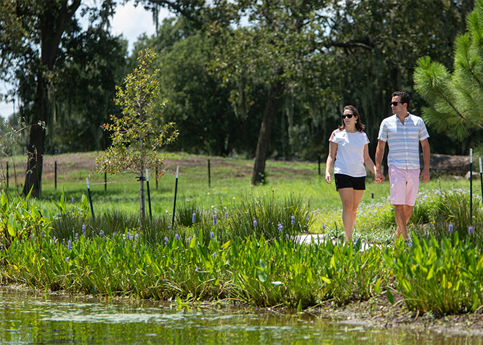Littoral shelf planting on the lagoon, Susan Garver Family Discovery Garden. Photo: Michael Tims.