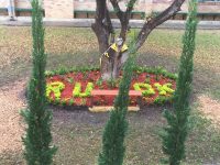 A specially landscaped Conversation Corner, with R U OK? Bench.