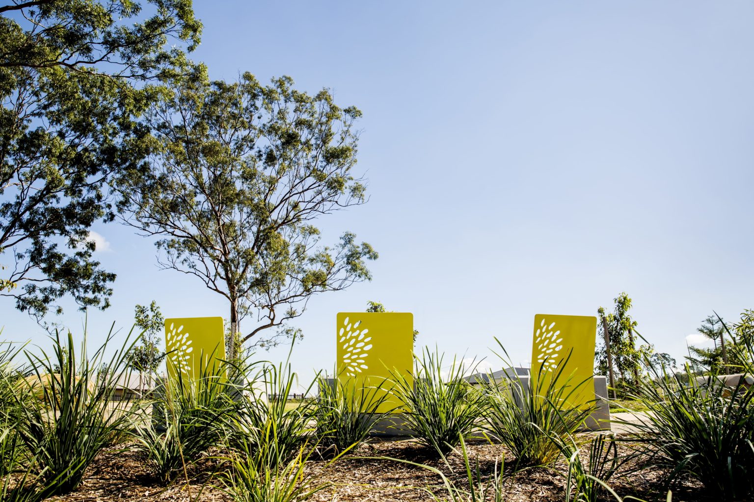 Stunning silhouettes with new plantings.