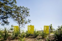Stunning silhouettes with new plantings.