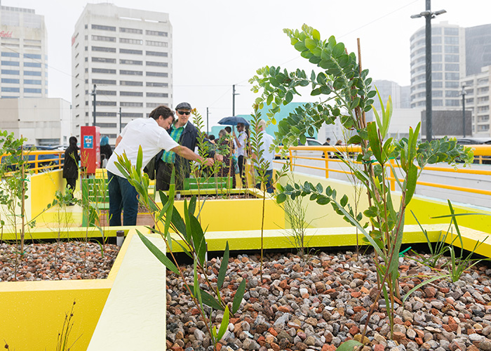 Launch of the SkyParks project. Photo: G-Fonne Photography.