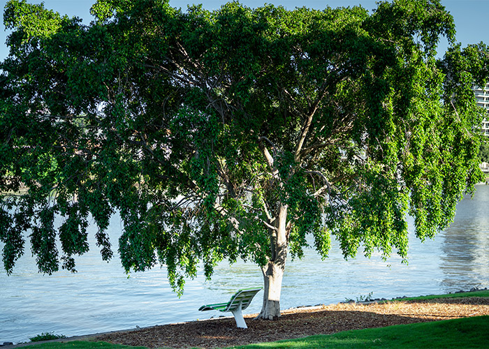 A place to rest in the shade.