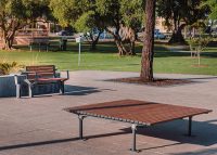 Mall Platform (CMM9) with aluminium woodgrain battens in Spotted Gum, Sable Brilliance frame.