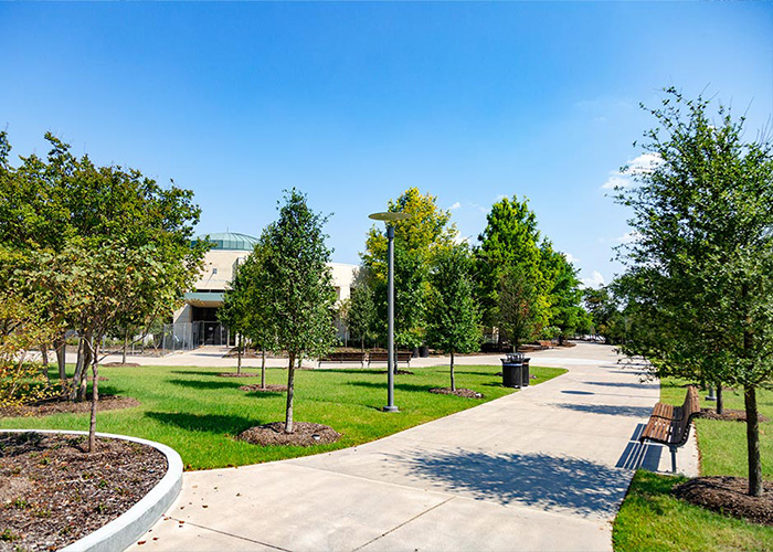 Green, tree-lined walkway featuring Classic Plaza Seats. Photo: University of Texas at Dallas.