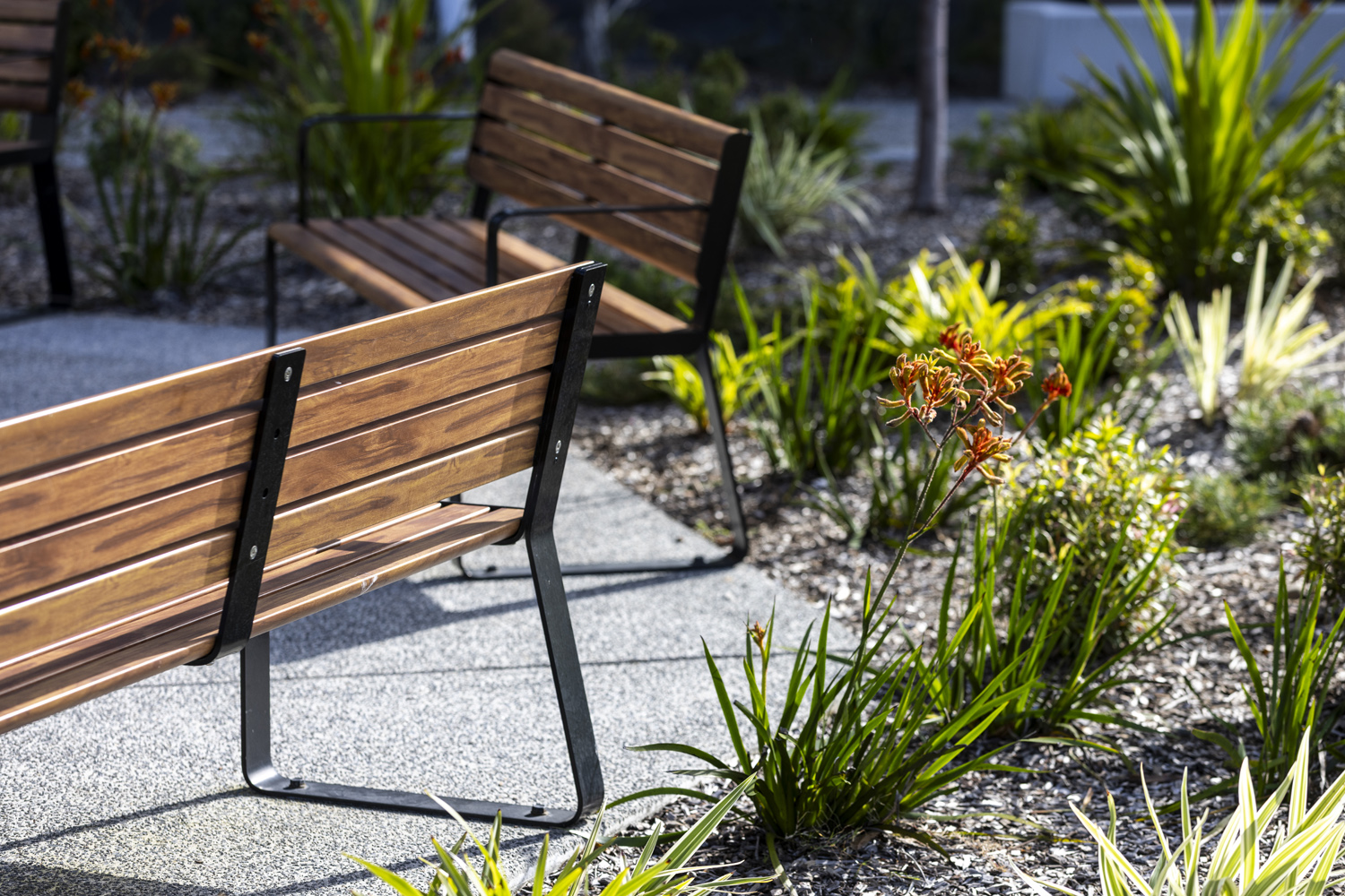 Linea Seat (1800mm) with aluminium Spotted Gum battens, Night Sky frames. Image: Architectus