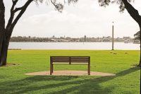 Linea Seat, 1800mm, with arms, aluminium woodgrain Spotted Gum battens, Textura Russet frames.