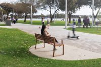 Linea Seat, 1800mm, with arms, aluminium woodgrain Spotted Gum battens, Textura Russet frames.